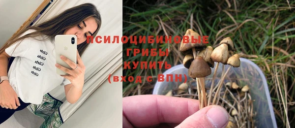 прущая мука Алексеевка